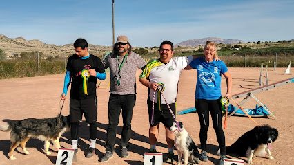 Club de Agility Costa Blanca | Adiestradores de perros en Elche