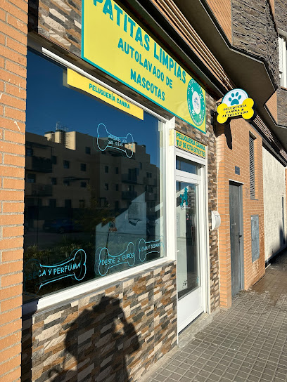 Patitas Limpias | Peluqueria para perros en Valdemoro