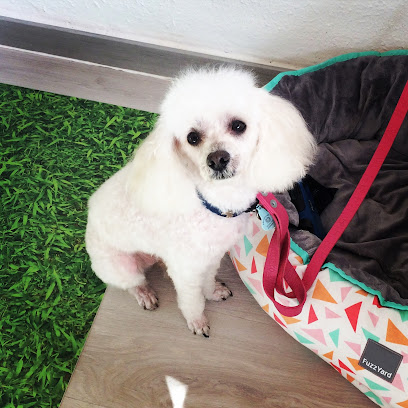 Tianjis | Peluqueria para perros en Madrid