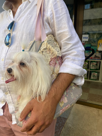Art Ca | Peluqueria para perros en Palma
