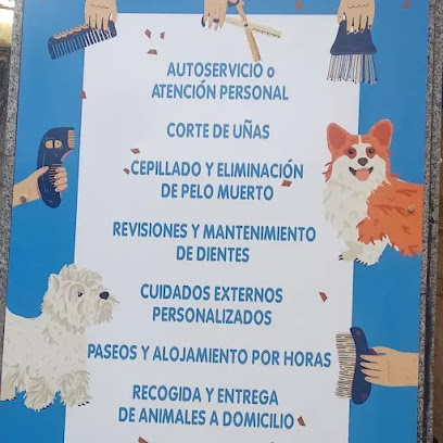 ALDOR MASCOTAS | Guardería para perros en Bejar