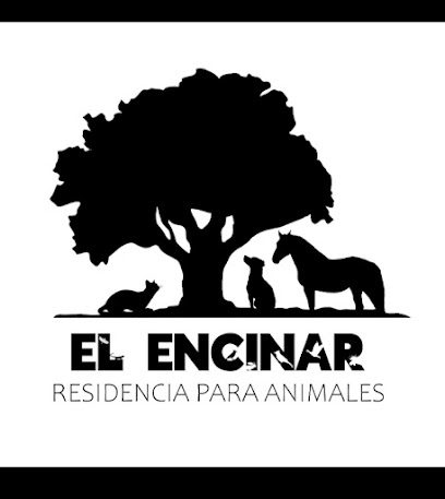 El Encinar | Guardería para perros en Badajoz