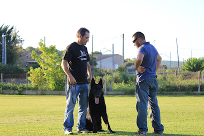 CENTRE CANI de BRIAN | Adiestradores de perros en Llambilles