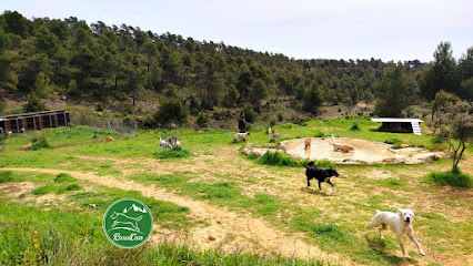 RuralCan | Guardería para perros en Enguera