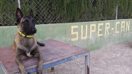 Club Canino Supercan | Adiestradores de perros en Murcia