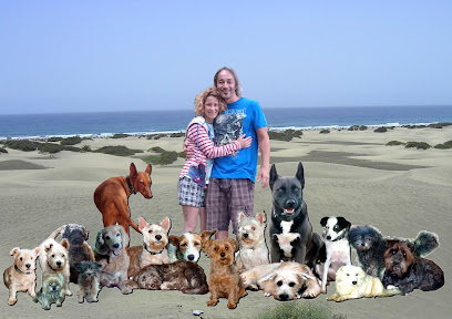 Aurican | Adiestradores de perros en La Garita