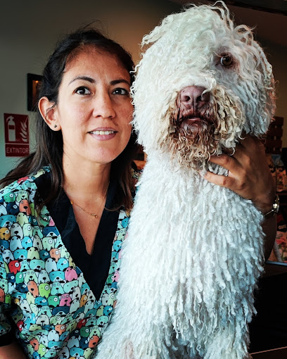 A Caraperro | Peluqueria para perros en Chiclana de la Frontera