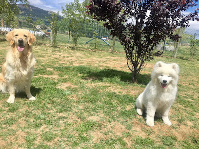 Centro Canino Miraflores | Guadalix de la Sierra