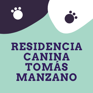 Tomas Manzano | Guardería para perros en Cáceres