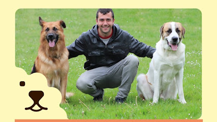 SitCan | Guardería para perros en Aia