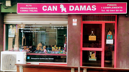 Can Damas | Peluqueria para perros en Mollet del Vallès