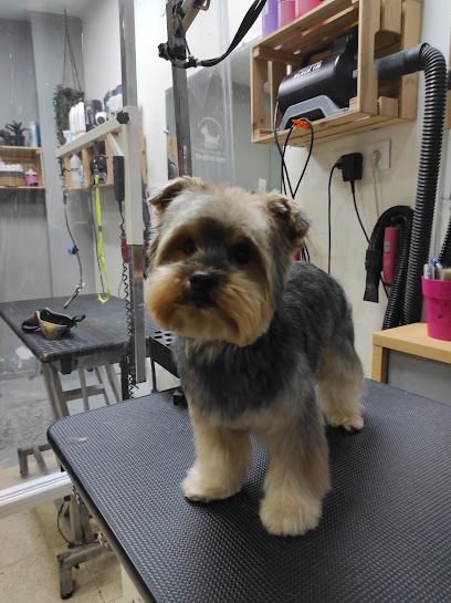 María Lopez | Peluqueria para perros en Ciudad Real