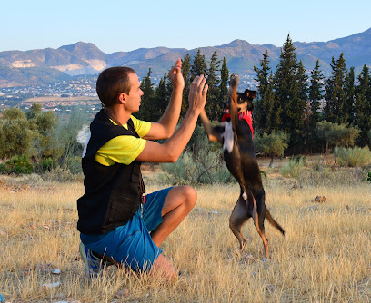 Psicocanem | Adiestradores de perros en Malaga