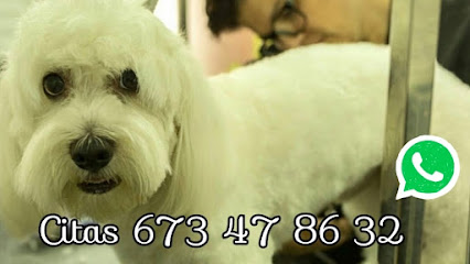 Mascota | Peluqueria para perros en Sabadell