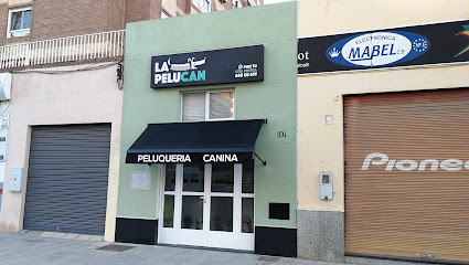 La Pelucan | Peluqueria para perros en Almería