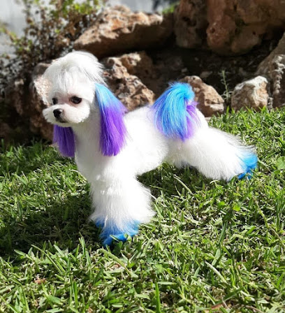Villarcan | Peluqueria para perros en Badajoz