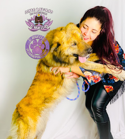 D’ Huellas | Peluqueria para perros en Cieza