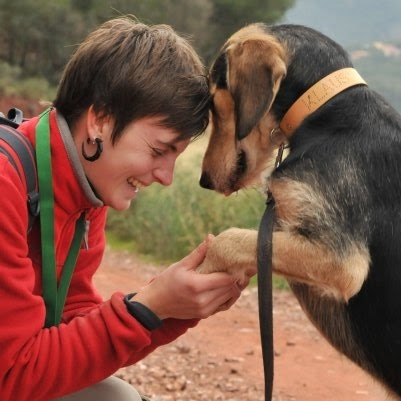 CREA COCO | Adiestradores de perros en Naquera