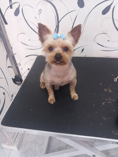La Huella | Peluqueria para perros en Villanueva de los Infantes