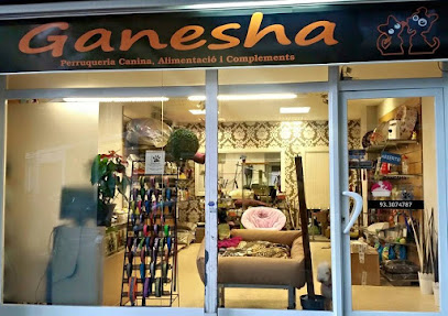Ganesha | Peluqueria para perros en Barcelona