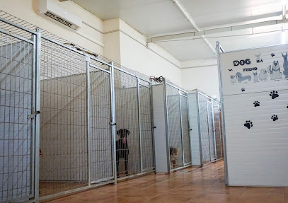 Mi mascota | Guardería para perros en Linares
