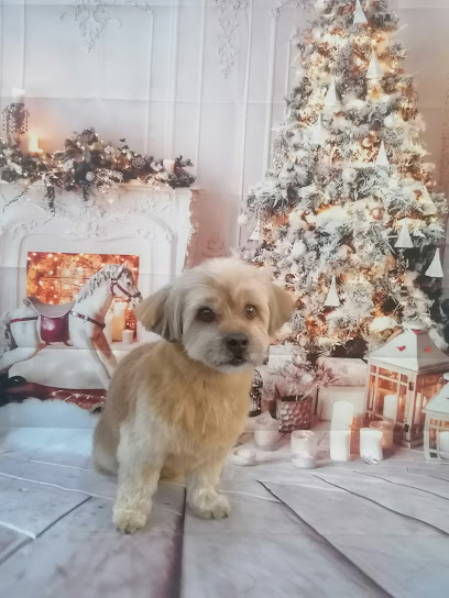 Lala | Peluqueria para perros en Burgos