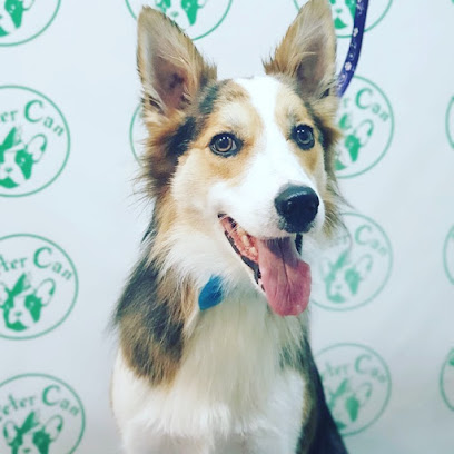 Peter Can | Peluqueria para perros en Sanlúcar de Barrameda