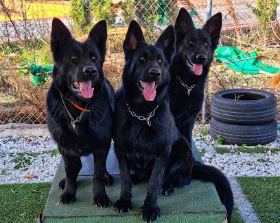 Reserva del Sur | Adiestradores de perros en Benalmádena