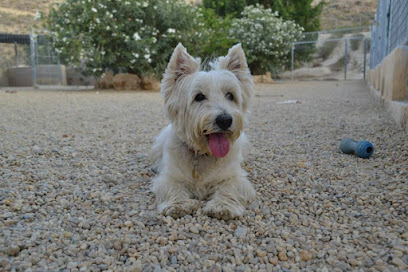 Pet hotel Mojacar | Guardería para perros en Mojácar
