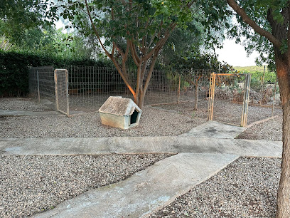 El Valle | Guardería para perros en Lliria