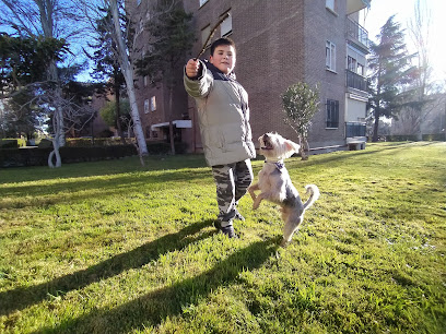 Ekilibradog | Adiestradores de perros en Estepa