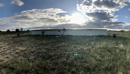 ValdeVid | Guardería para perros en Cigales