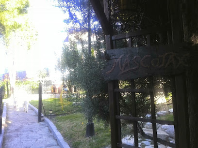 MASCOTAX | Guardería para perros en Villa del Prado