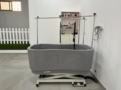 Washcot | Peluqueria para perros en Alicante