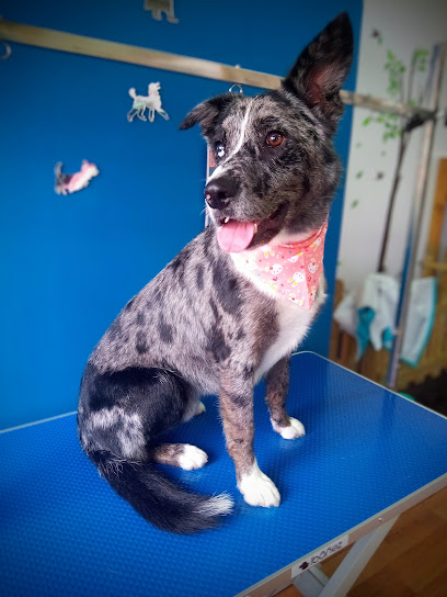 Mikinga Groomer | Miño