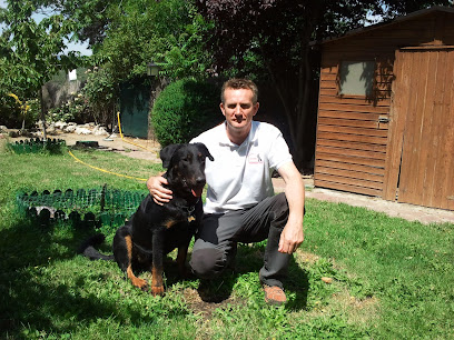 Eficán | Adiestradores de perros en La Berzosa