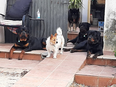 Sierra Pelada | Guardería para perros en Illora