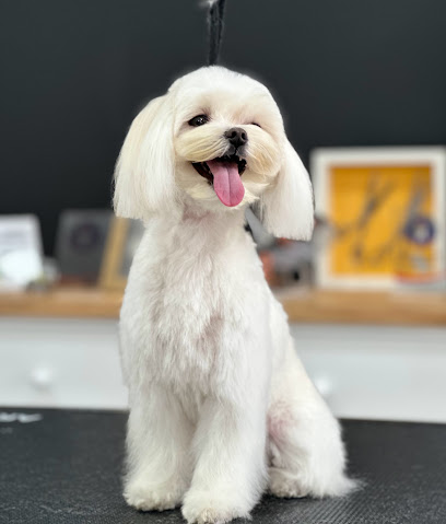 Di Sousa | Peluqueria para perros en Pozuelo de Alarcón