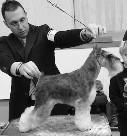 Balmonty Grooming | Trobajo del Camino
