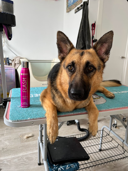 Namaste Mascotas by María Cóleman | Peluqueria para perros en Utrera