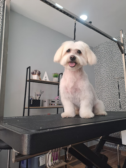 Valira | Peluqueria para perros en Huelva
