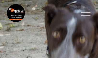 Mes K Gossos Centre Cani | Guardería para perros en Masquefa