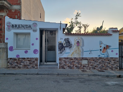 Brenda | Benijófar