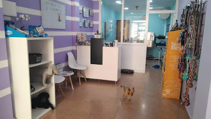 Sara Albero | Peluqueria para perros en Banyeres de Mariola