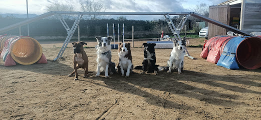 RIOIIA | Adiestradores de perros en Albelda de Iregua