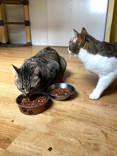 VEGA Del HENARES | Guardería para perros en Chiloeches