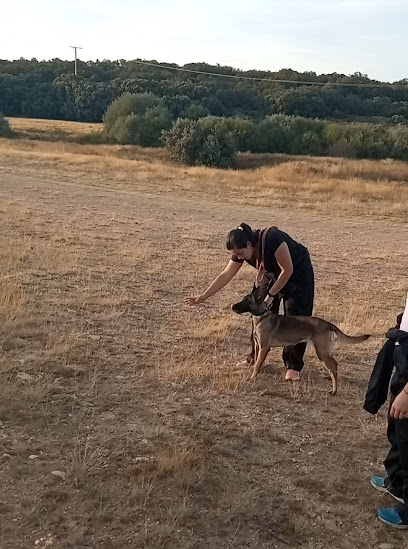 Daterra-K9 | Adiestradores de perros en Naron