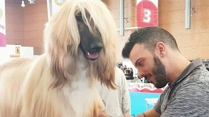 Rubén Arranz | Peluqueria para perros en Fuenlabrada