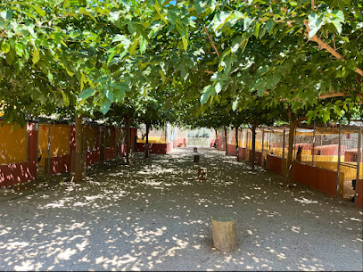 La Aldea | Guardería para perros en Roche