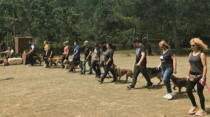 Los Guardianes | Adiestradores de perros en Olesa de Montserrat